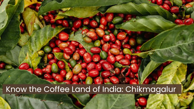 Know the Coffee Land of India: Chikmagalur