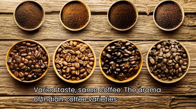 Varied taste, same coffee: The aroma of Indian coffee varieties