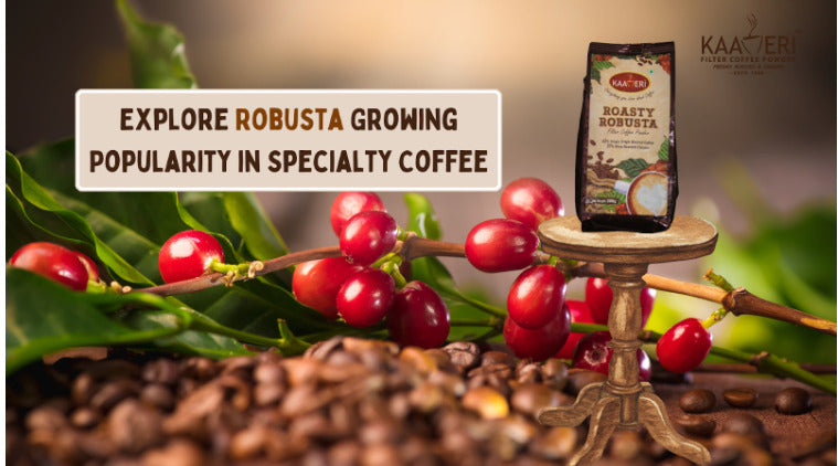 The Rise of Robusta: Exploring its Growing Popularity in Specialty Coffee