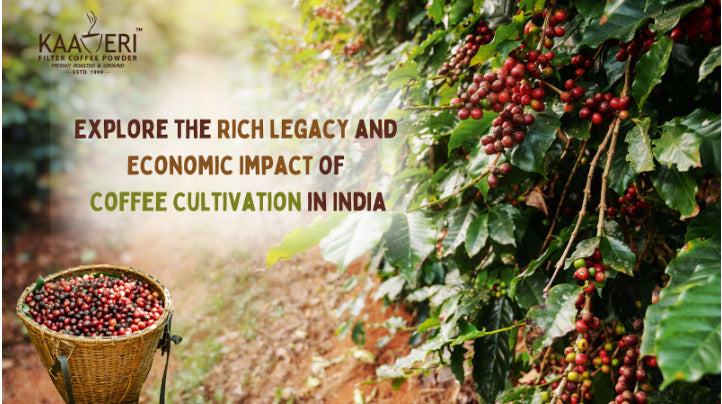 Explore the Rich Legacy and Economic Impact of Coffee Cultivation in India