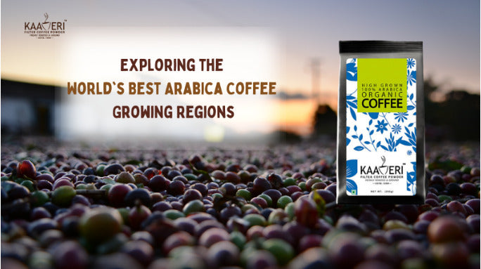 Exploring the World's Best Arabica Coffee Growing Regions
