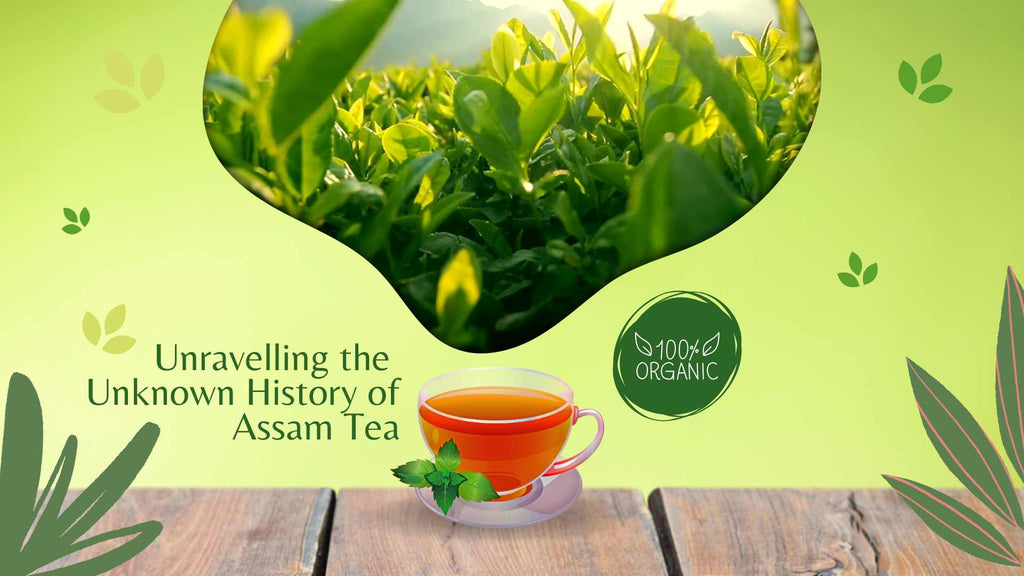 From Singpho Secrets to Global Brew: Unravelling the Unknown History of Assam Tea