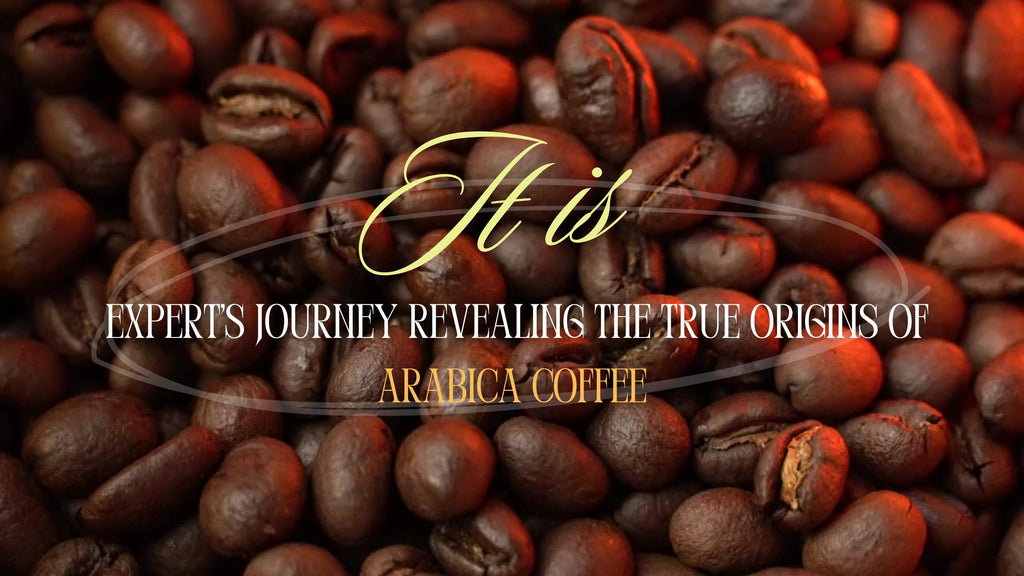 An Expert's Journey Revealing the True Origins of Arabica Coffee