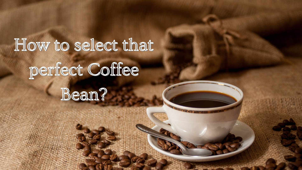 How to select that perfect Coffee Bean?