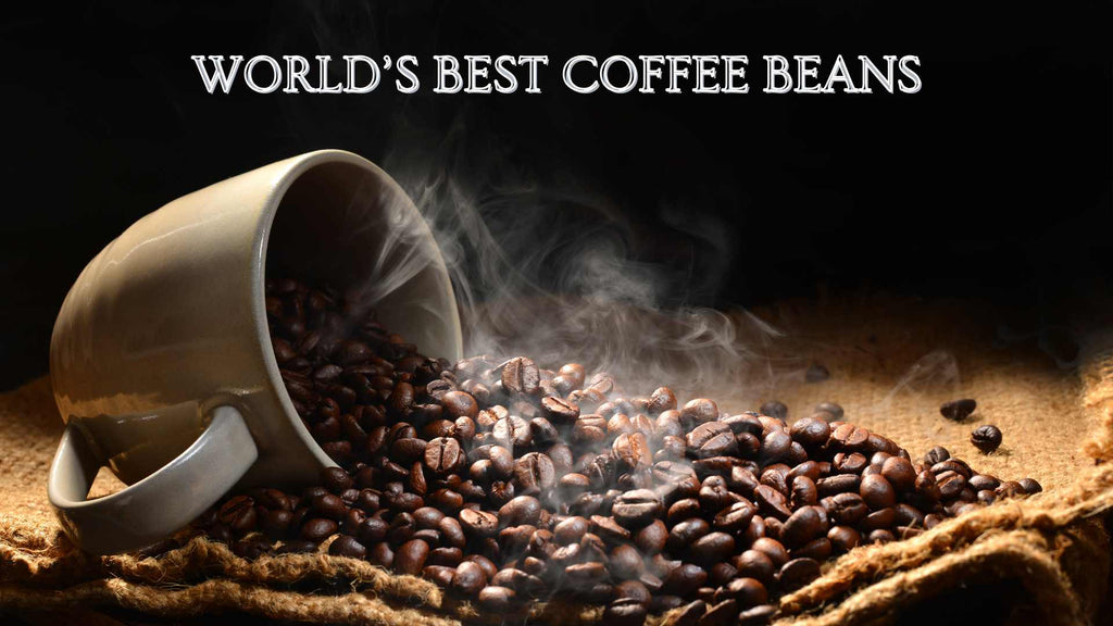 WORLD’S BEST COFFEE BEANS