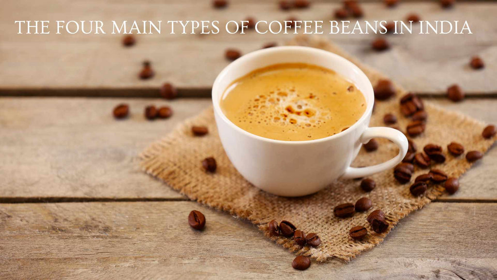 THE FOUR MAIN TYPES OF COFFEE BEANS IN INDIA
