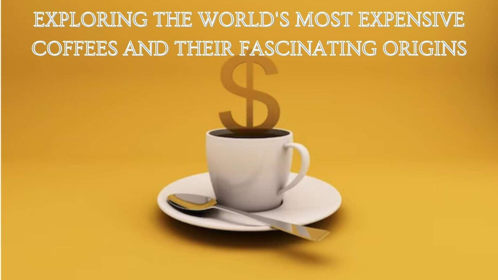 Exploring the World's Most Expensive Coffees and Their Fascinating Origins