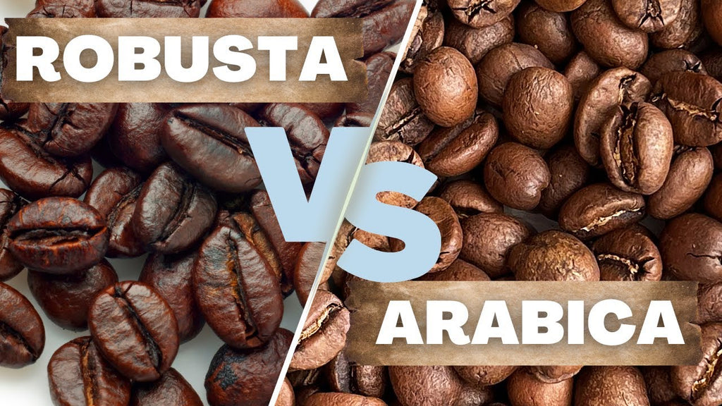Arabica Coffee vs Robusta Coffee: Here’s What You Need to Know