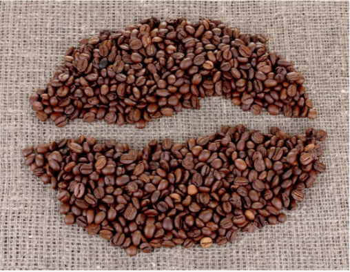 Robusta coffee beans