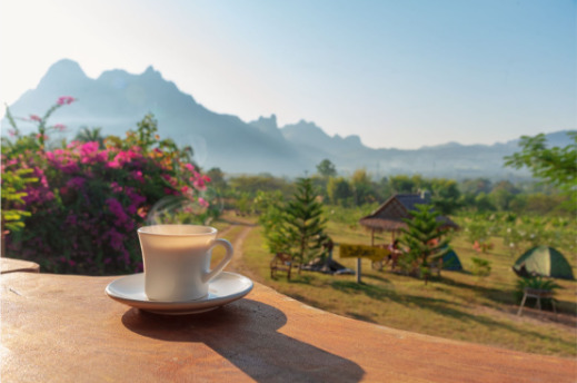 coffee in Kerala