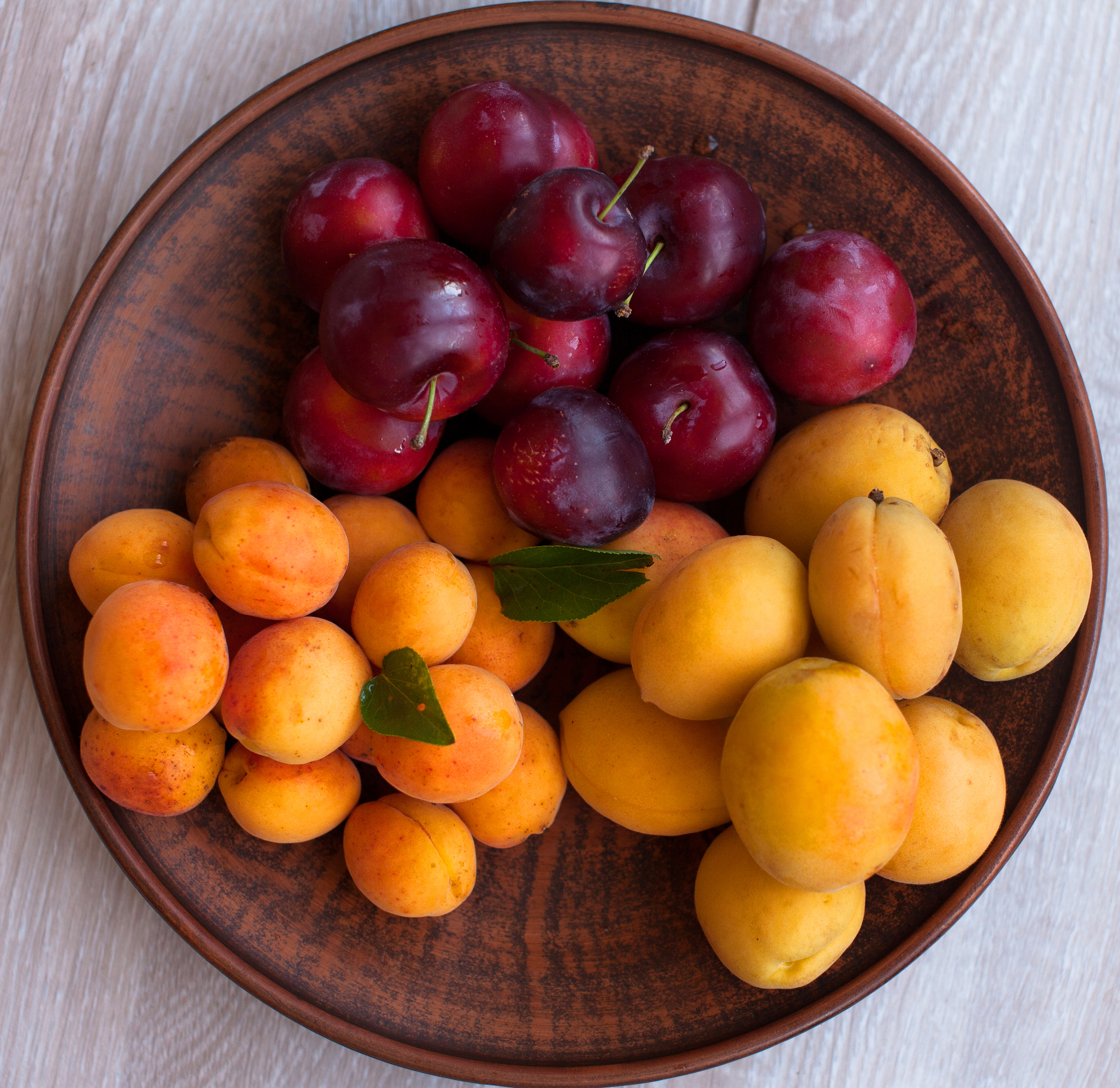 Ripe Organic Apricots with leaves